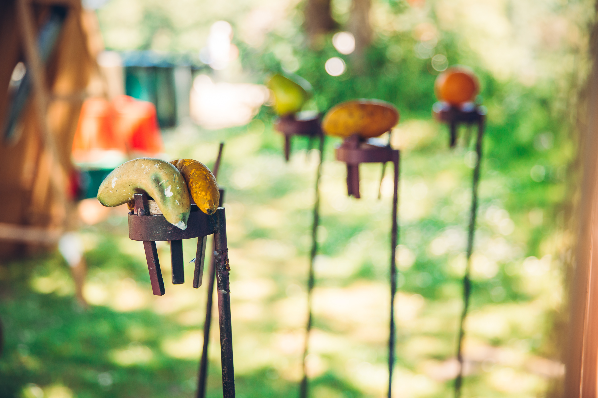 Envirolution Image 31